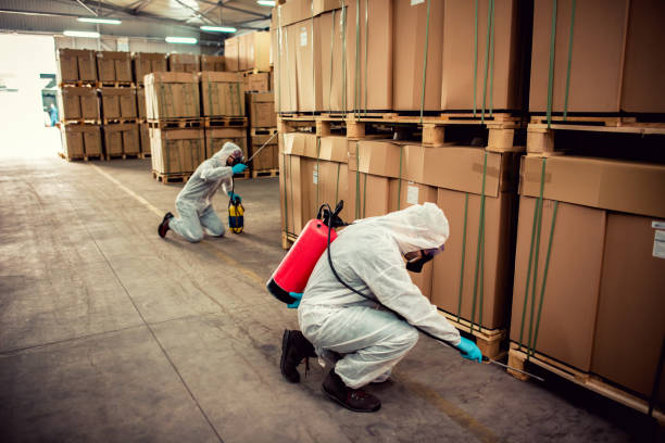 Best Mosquito Control Services  in Lido Beach, NY