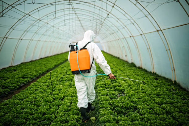 Best Pest Inspection Near Me  in Lido Beach, NY