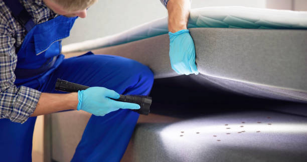Best Bed Bug Extermination  in Lido Beach, NY